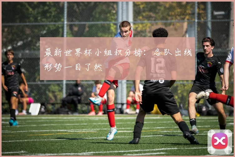 最新世界杯小组积分榜：各队出线形势一目了然