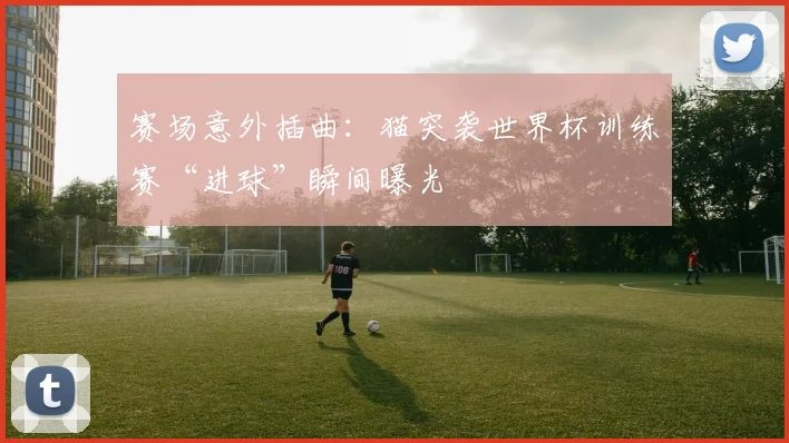 赛场意外插曲：猫突袭世界杯训练赛“进球”瞬间曝光
