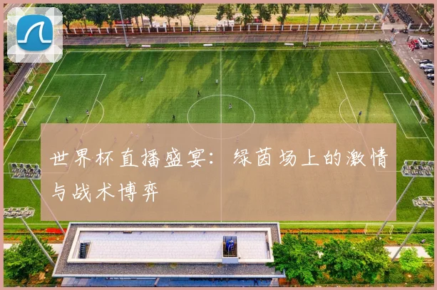 世界杯直播盛宴：绿茵场上的激情与战术博弈