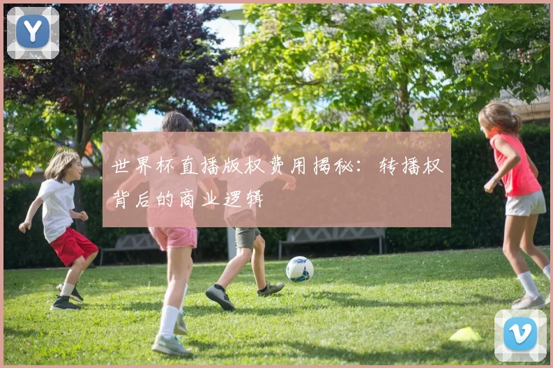 世界杯直播版权费用揭秘：转播权背后的商业逻辑