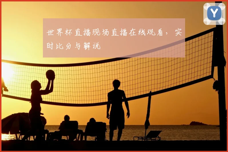 世界杯直播现场直播在线观看，实时比分与解说