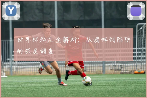 世界杯私庄全解析:从诱饵到陷阱的深度调查