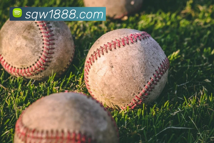 mksports登录入口平台生态图