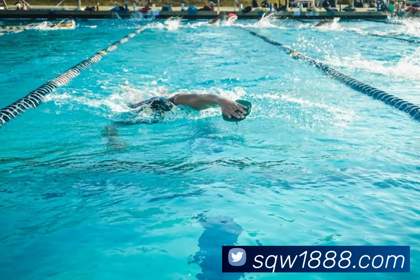 mksports登录入口全站App mksports登录入口全站App